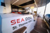 sea dog sailboat